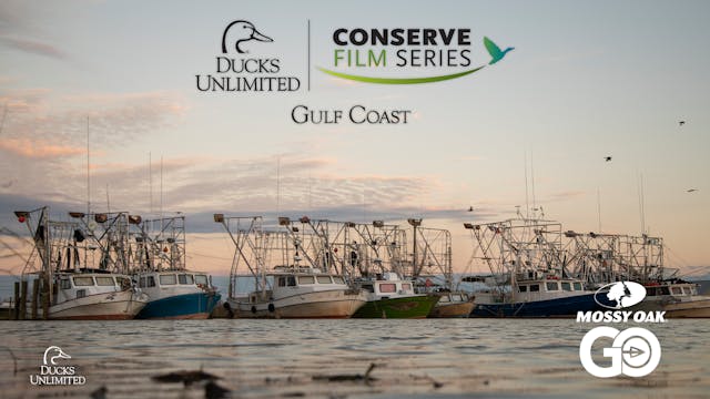 Gulf Coast • DU Conserve