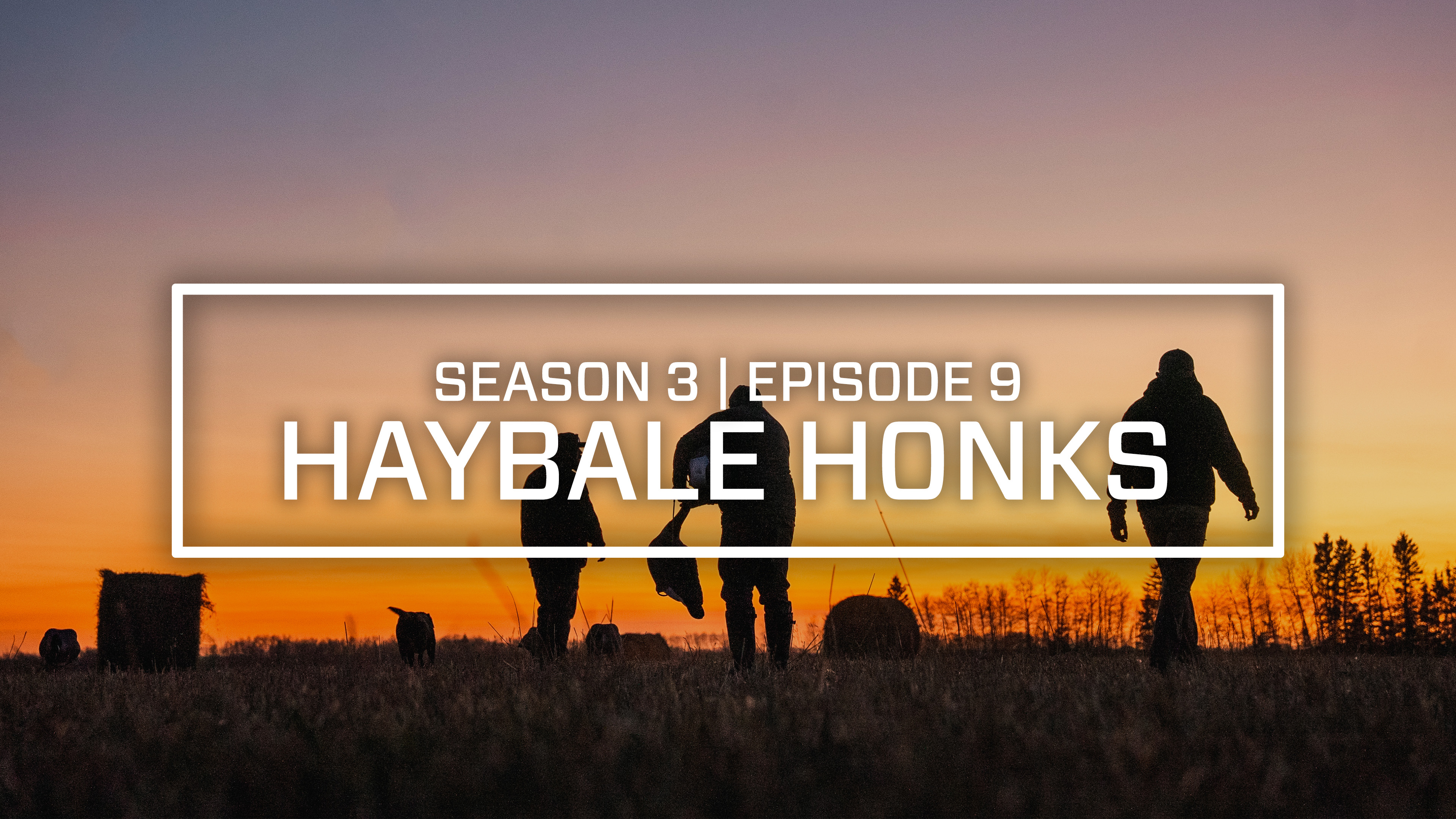 Last Pass Episode 9 • Haybale Honks