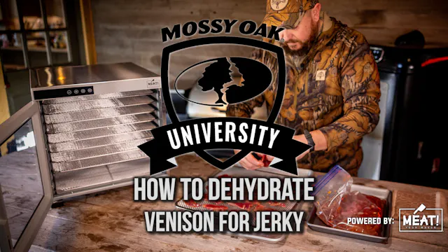How to Dehydrate Venison Jerky at Hom...