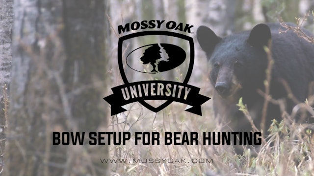 Bow Bear Setups • MOU
