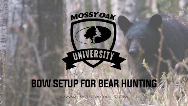Bow Bear Setups • MOU