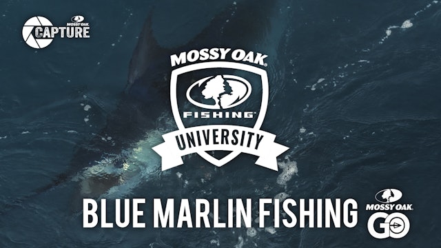 Blue Marlin Fishing • Mossy Oak University