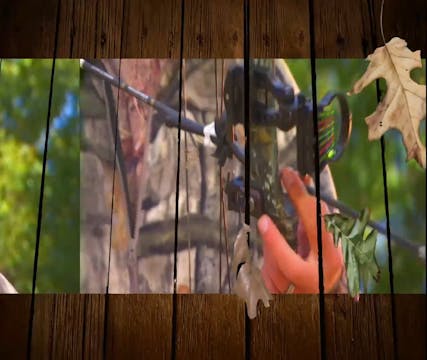 Tradition of Patience • Whitetails in...