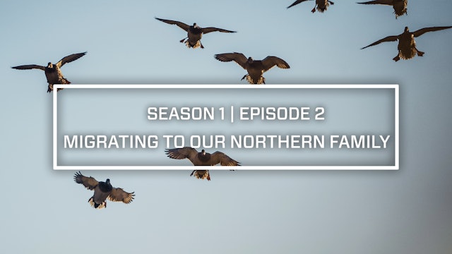 Last Pass Episode 2 • Migrating To Our Northern Family • Final Approach