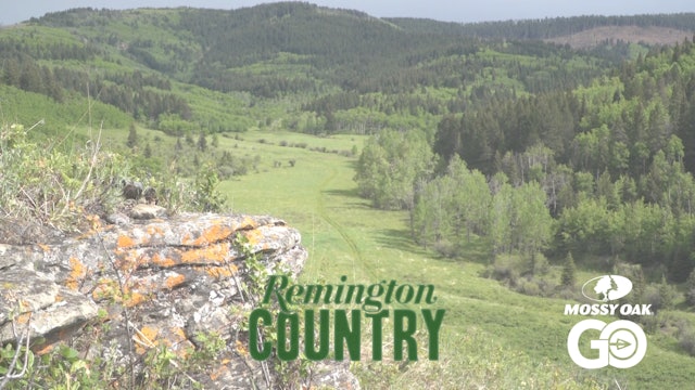 Alberta Black Bear • Remington Country
