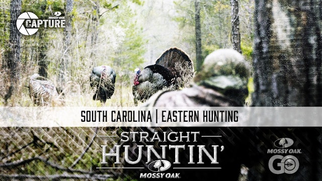 South Carolina • Straight Huntin'