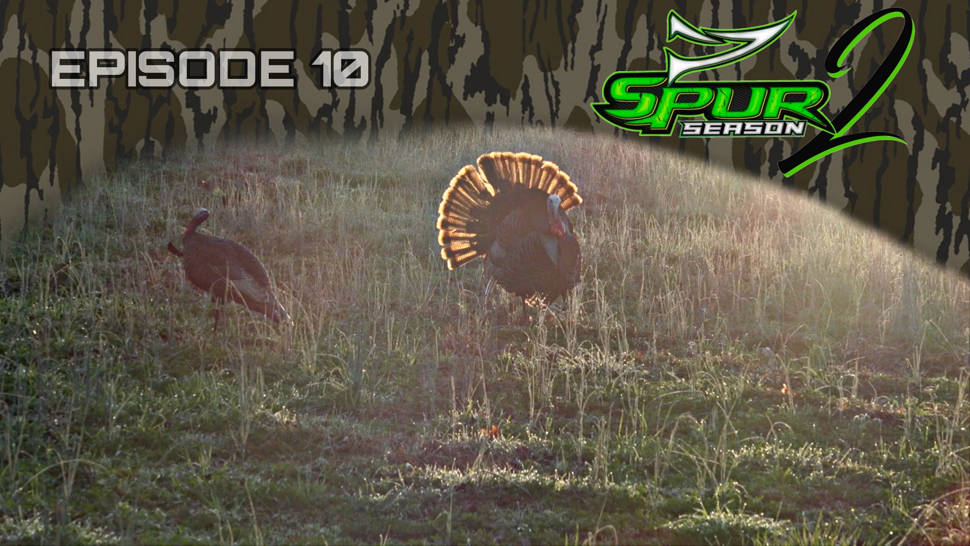 Florida Youth: OH Gobbler • Spur Season