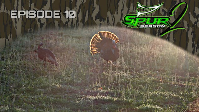 Florida Youth: OH Gobbler • Spur Season