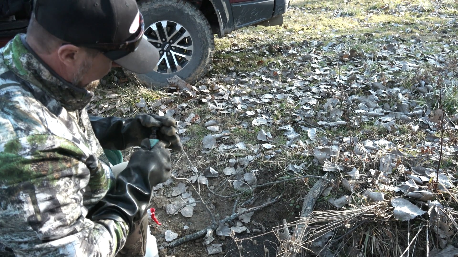 The Dirt Hole • Tim Wells