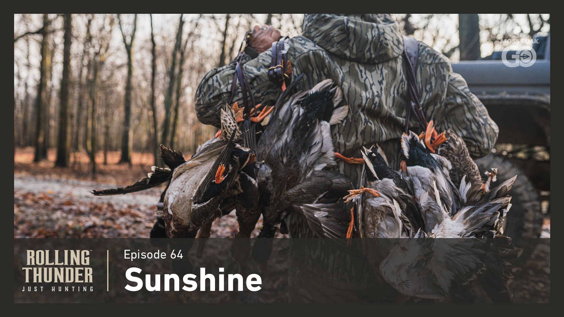Ep 64 • Sunshine • Rolling Thunder