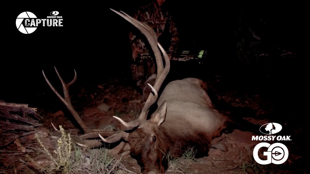 BULL RUSH • Episode 3 Bull Rush Season 1 Mossy Oak GO