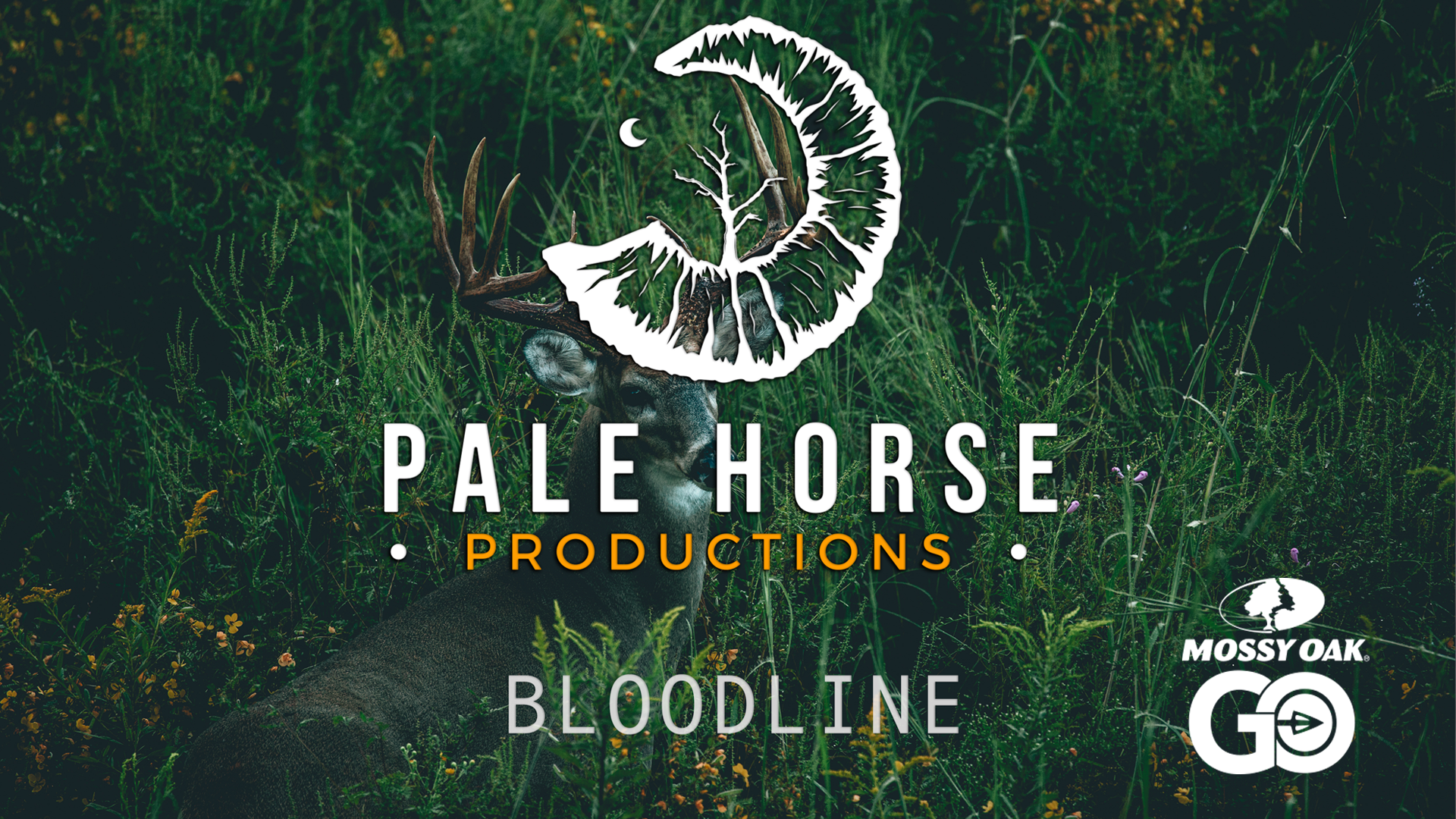 Bloodline • Pale Horse