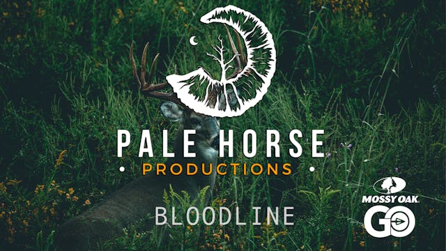 Bloodline • Pale Horse