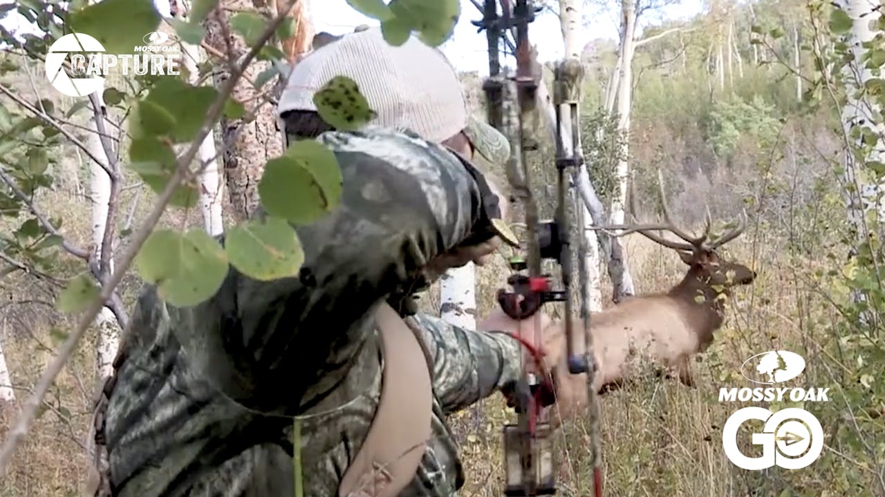 BULL RUSH • Episode 1 Bull Rush Season 1 Mossy Oak GO