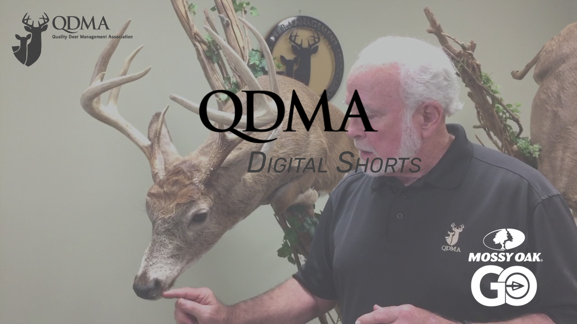 Vomeronasal Organ Info • QDMA Shorts.mp4