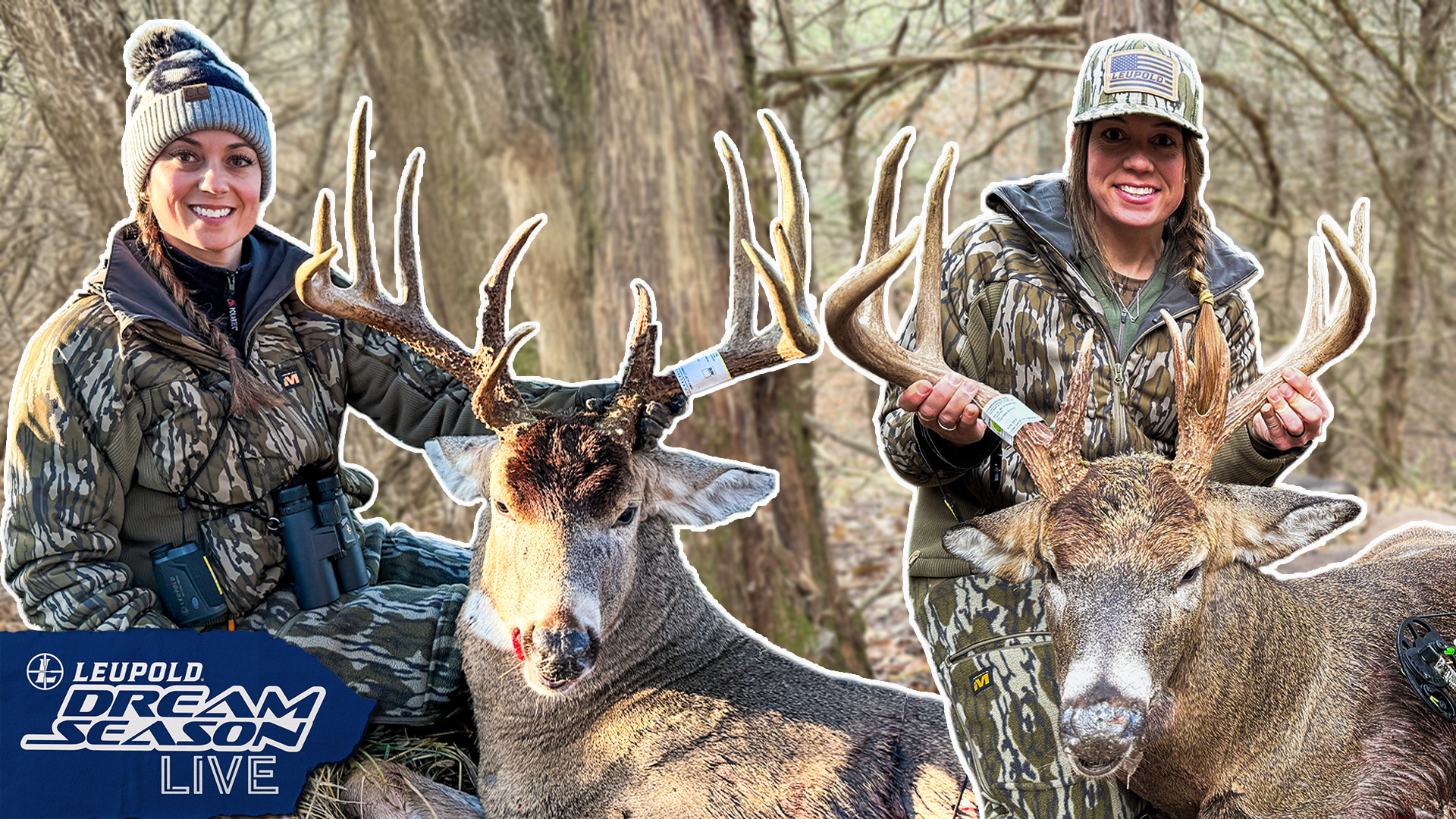 Back-To-Back Big Bucks With A Decoy, Iowa Whitetail Magic | Dream Season Live
