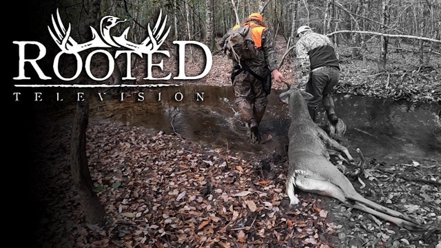 South Georgia Whitetail • Rooted Television