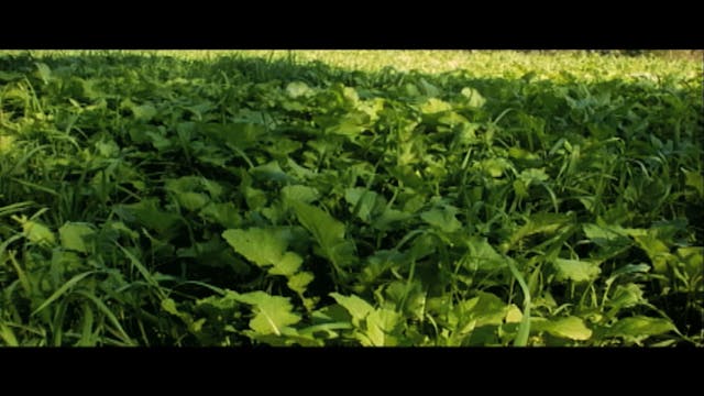 Men of Steel • Visit the Steelman Far...