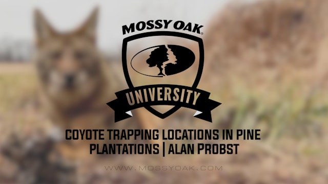 Coyote Trapping Locations in Pine Plantations with Alan Probst