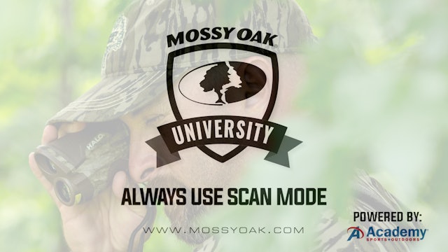 Always Use Scan Mode