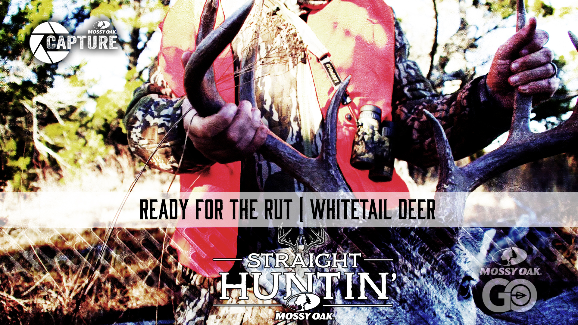 Ready for the Rut • Whitetail Deer • Straight Huntin