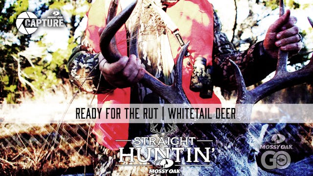 Ready for the Rut • Whitetail Deer • ...