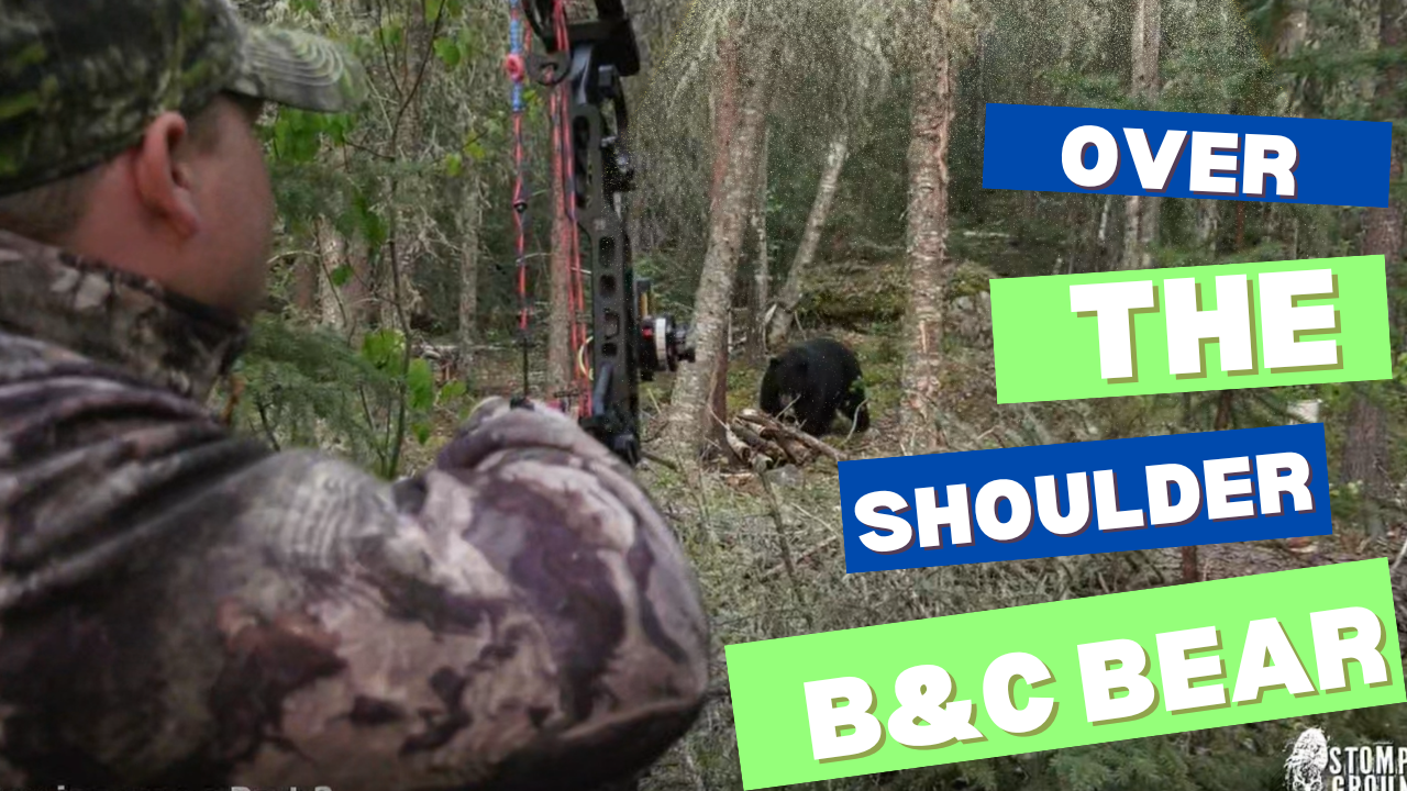 Over The Shoulder B&C Bear! • Stompin' Groundz