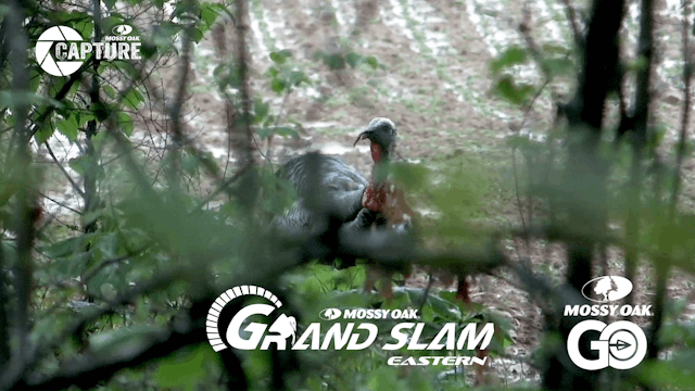 Grand Slam • Episode 5 • Easterns