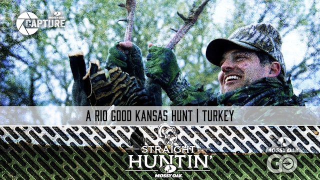 A Rio Good Hunt In Kansas • Rio Grande Hunting • Straight Huntin'