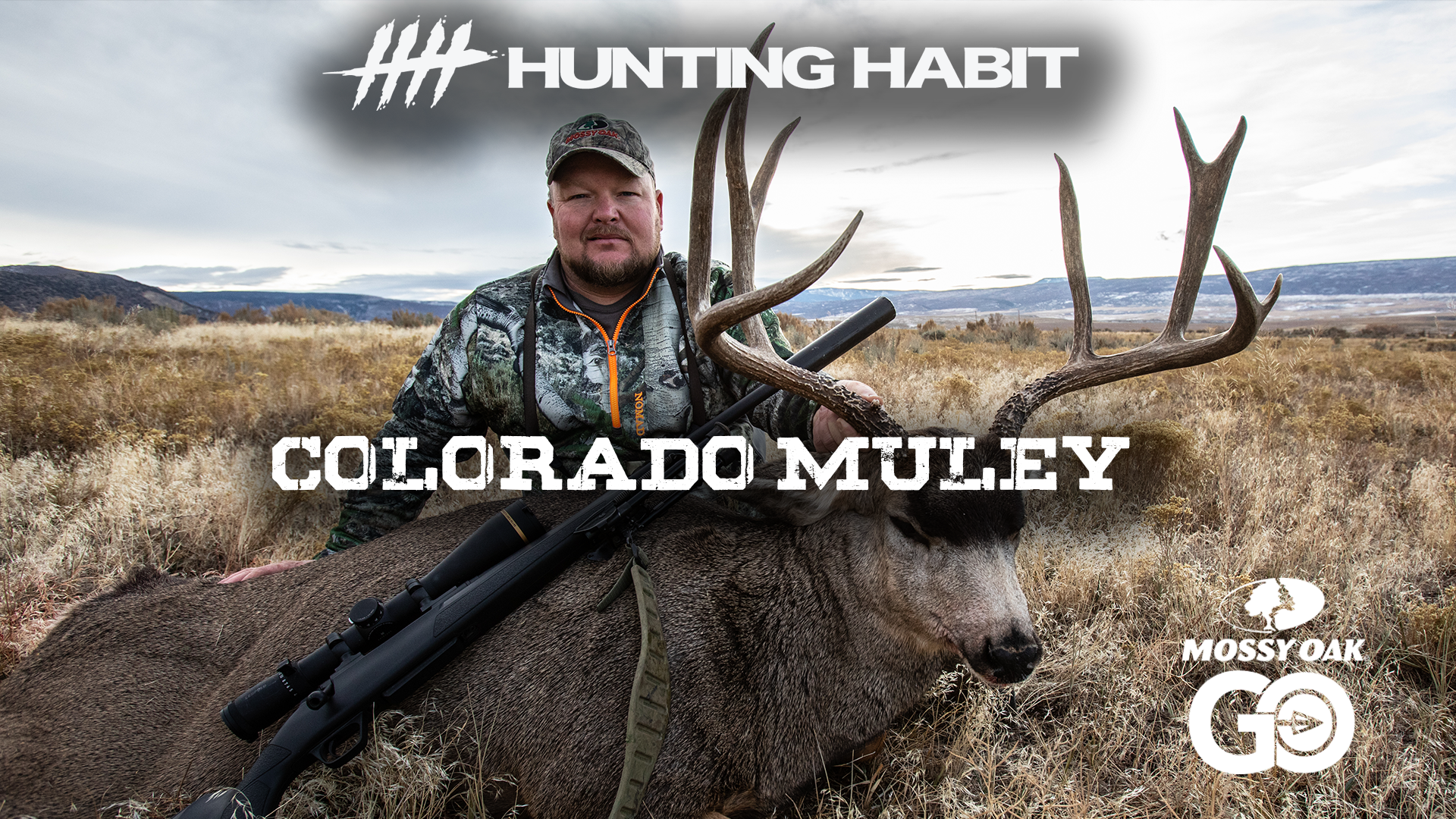 Hunting Habit · Colorado Muley 