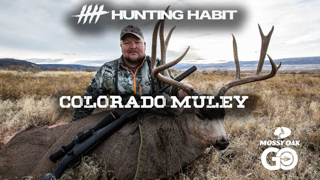 Hunting Habit · Colorado Muley 