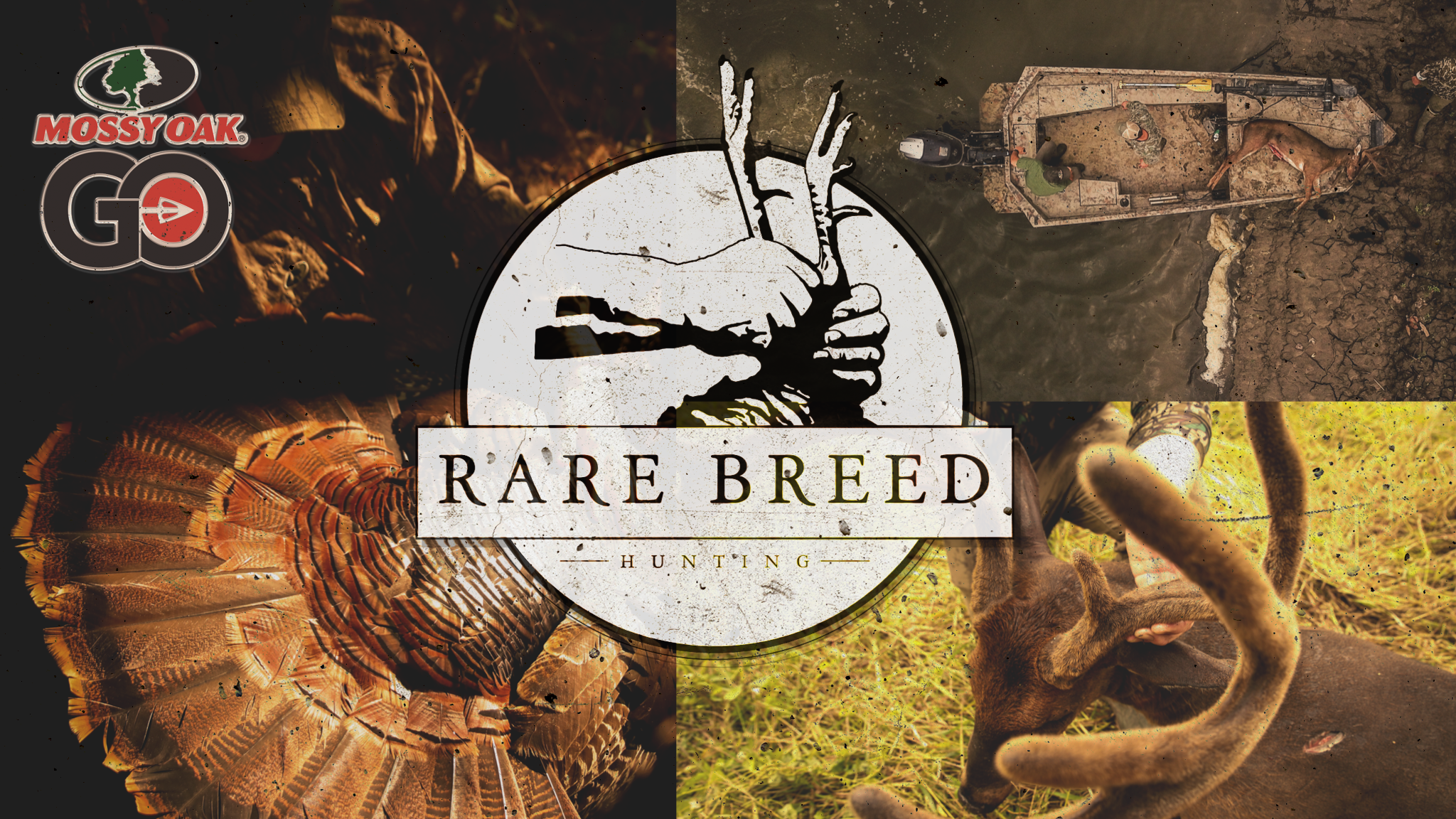 The Island • Rare Breed