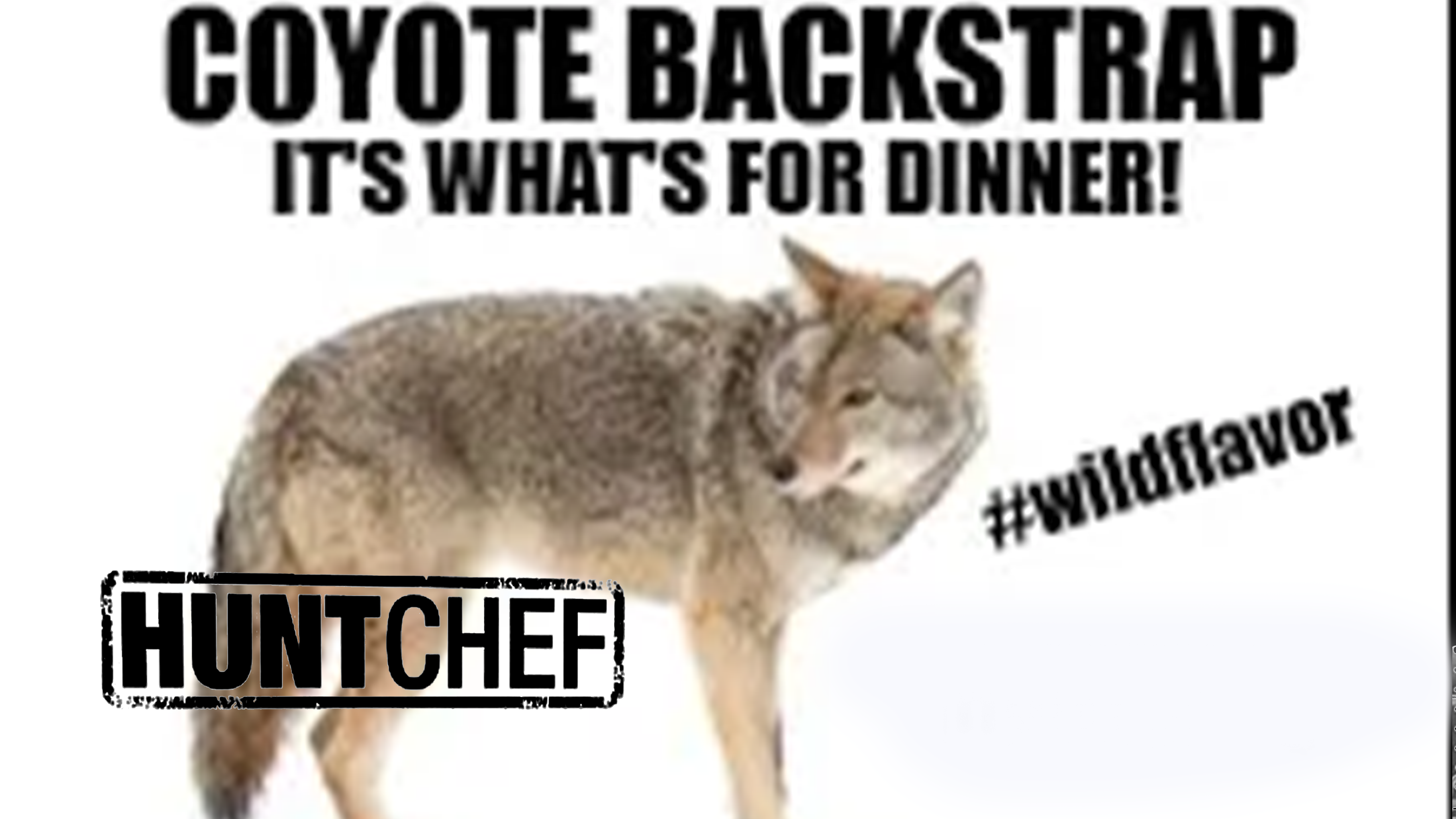 HuntChef Sportsman Channel  Ep 9 • Coyote Recipes 