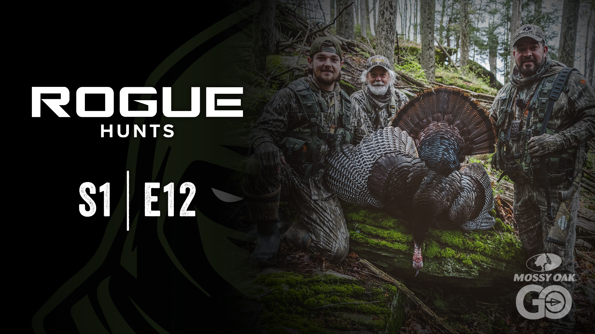 Rogue Hunts • S1 Ep12 • PA