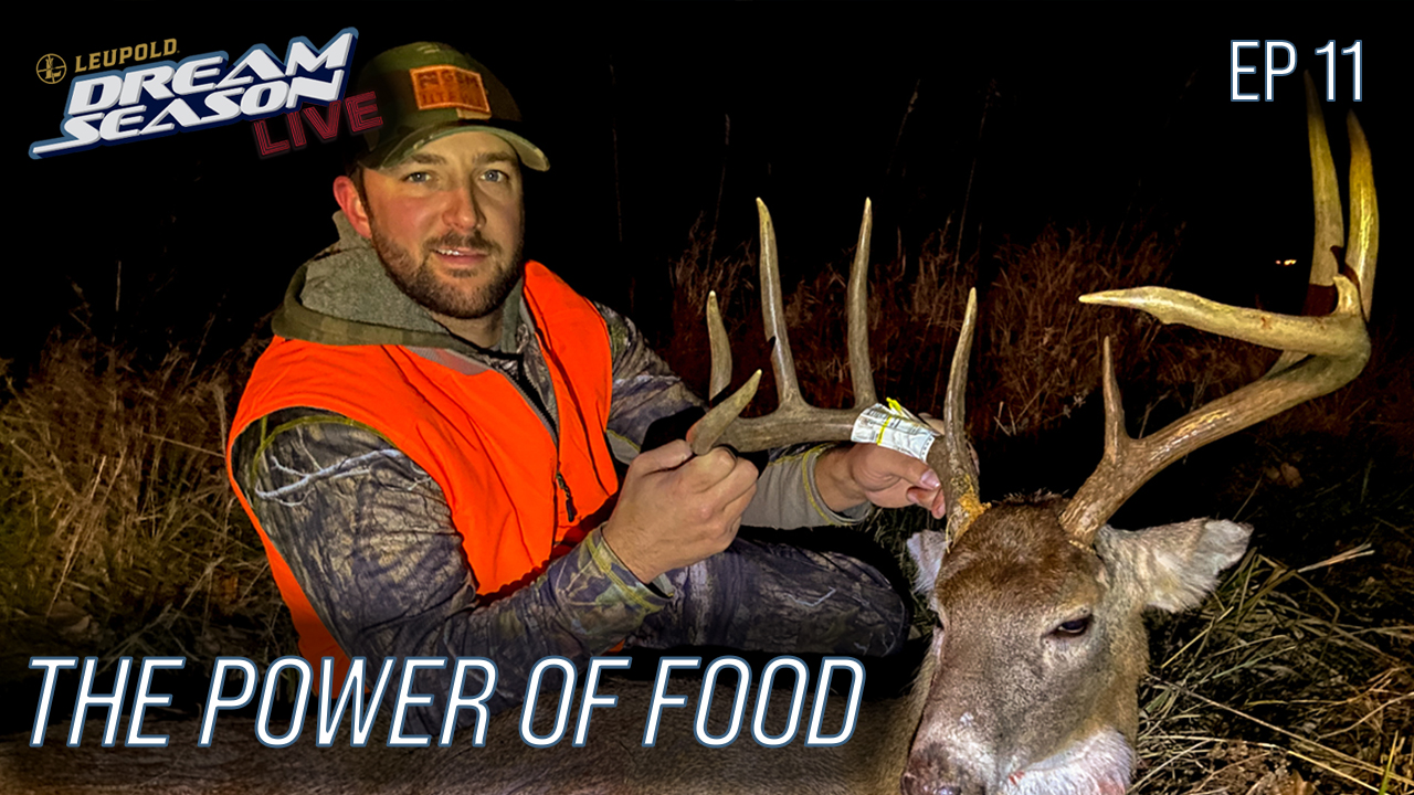 Hunting Food Late Season, A Memory That Will Last Forever • Dream Season Live