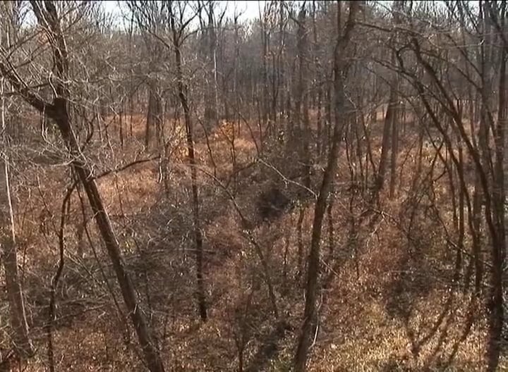 One Mississippi • Big Bucks in the Deep South