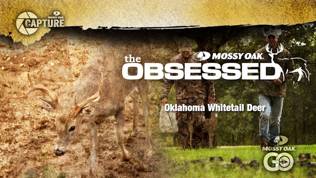The Obsessed • Oklahoma Whitetail Deer