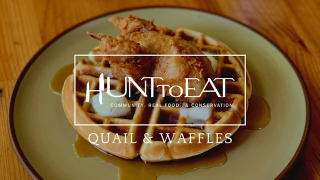 Fried Quail and Waffles • Hunt to Eat 