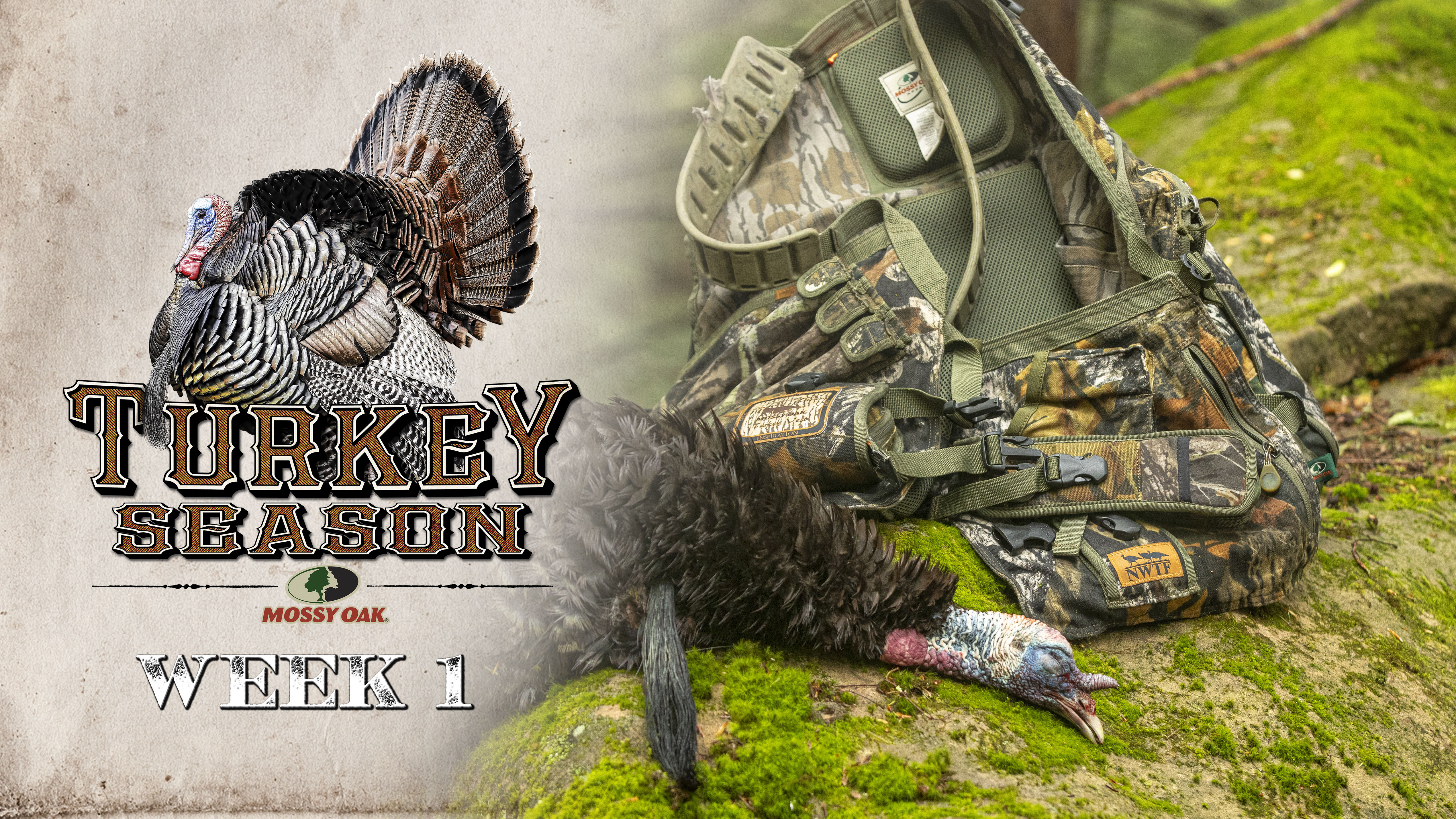 Live: 3.15.2021 Turkey Season Replay