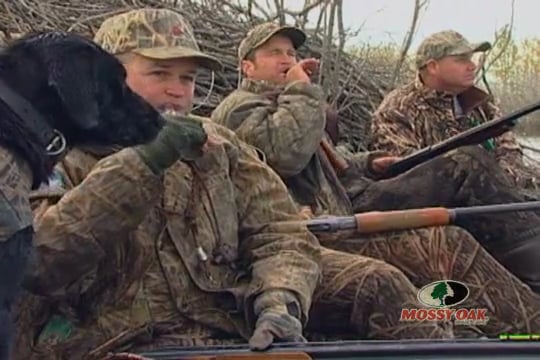 Goose Grease • Saskatchewan Ducks and Geese in Dry Fields