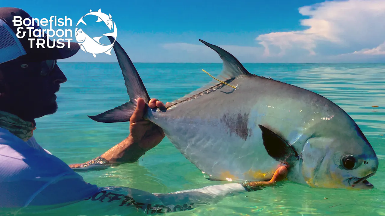Project Permit Video • Bonefish & Tarpon Trust - Season 1 - Mossy Oak GO
