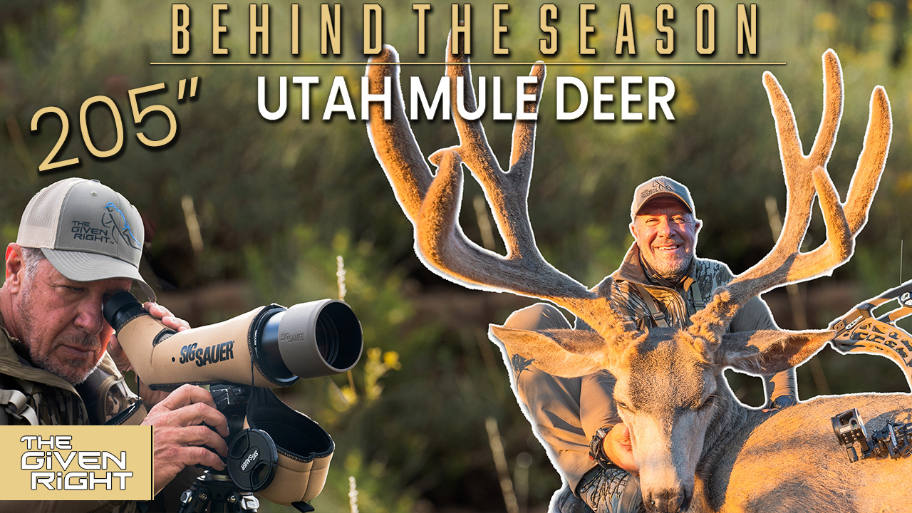 Spot & Stalk on a 205" Mule Deer In Velvet • Behind the Season