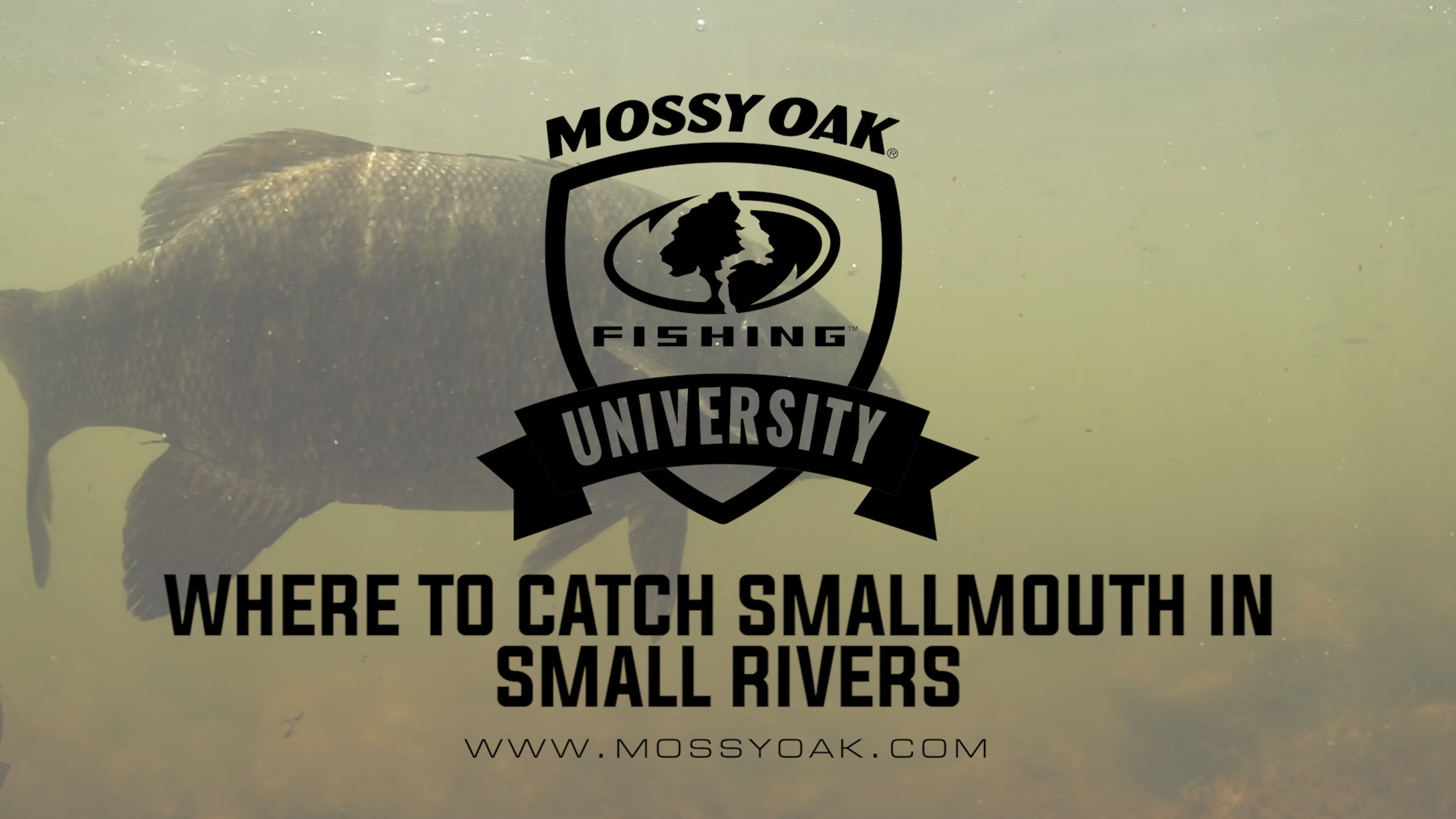 Where To Catch Smallmouth Bass In Small Rivers
