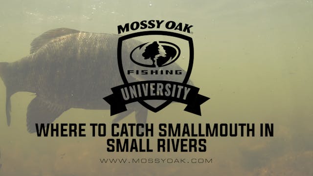 Where To Catch Smallmouth Bass In Sma...