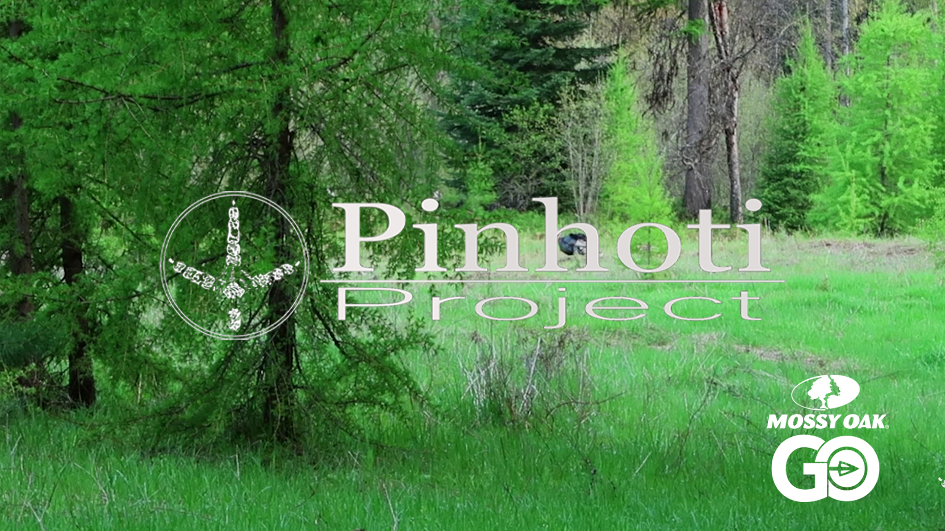 Montana Turkeys •Patience In Bad Weather • Waiting Game • Pinhoti Project Day 62