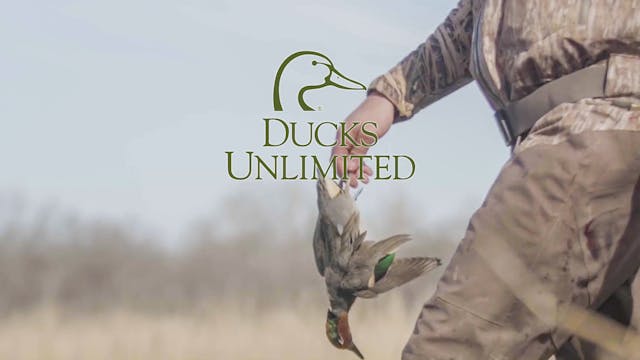 Mississippi River Island Rendezvous •...