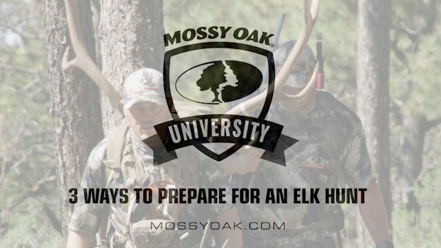 3 Ways to Prepare for an Elk Hunt • Mossy Oak University