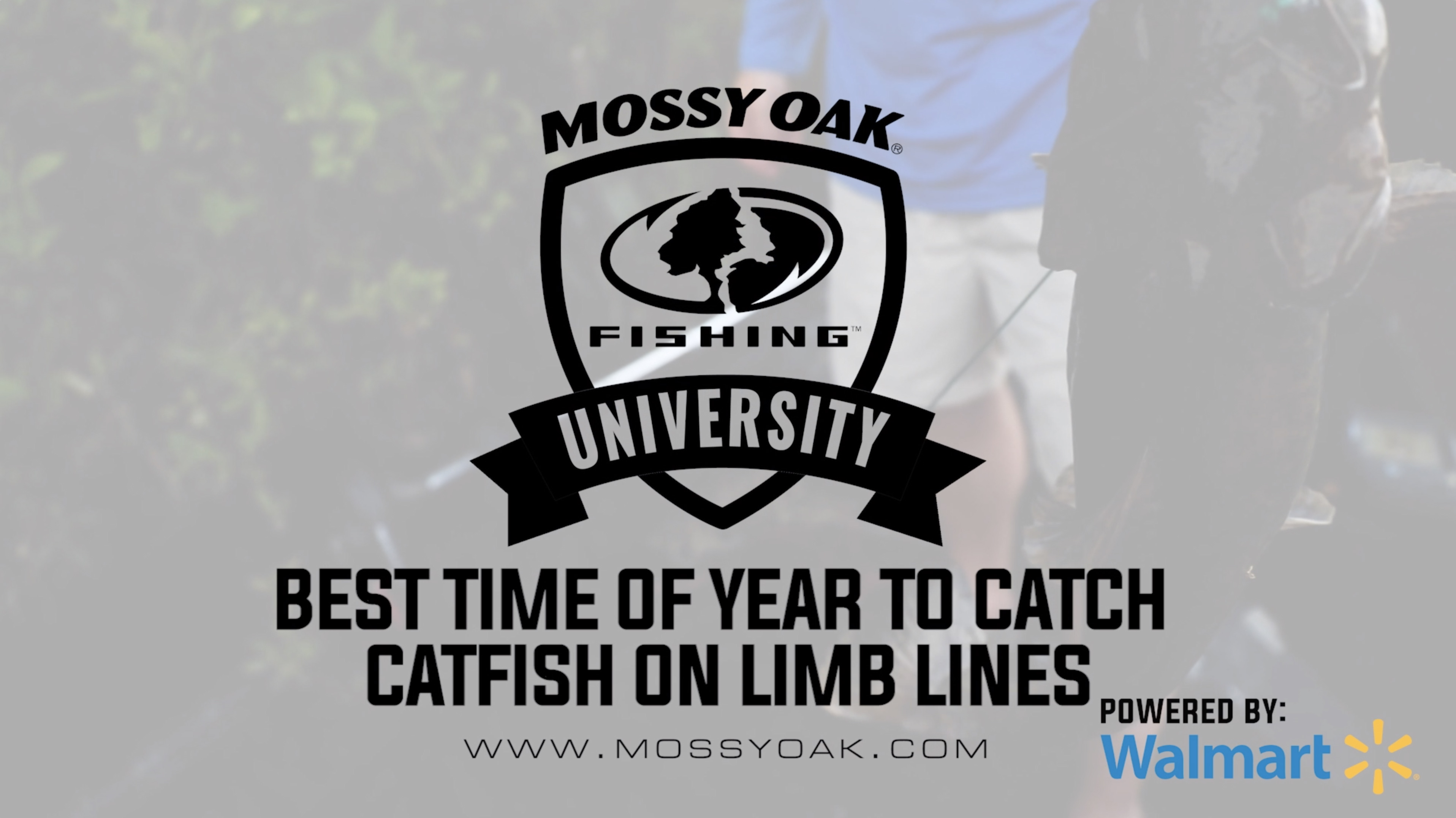 Best Time of Year to Set Limb Lines for Big Catfish