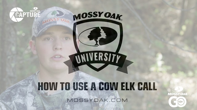 How to Use a Cow Elk Call • Mossy Oak Univeristy