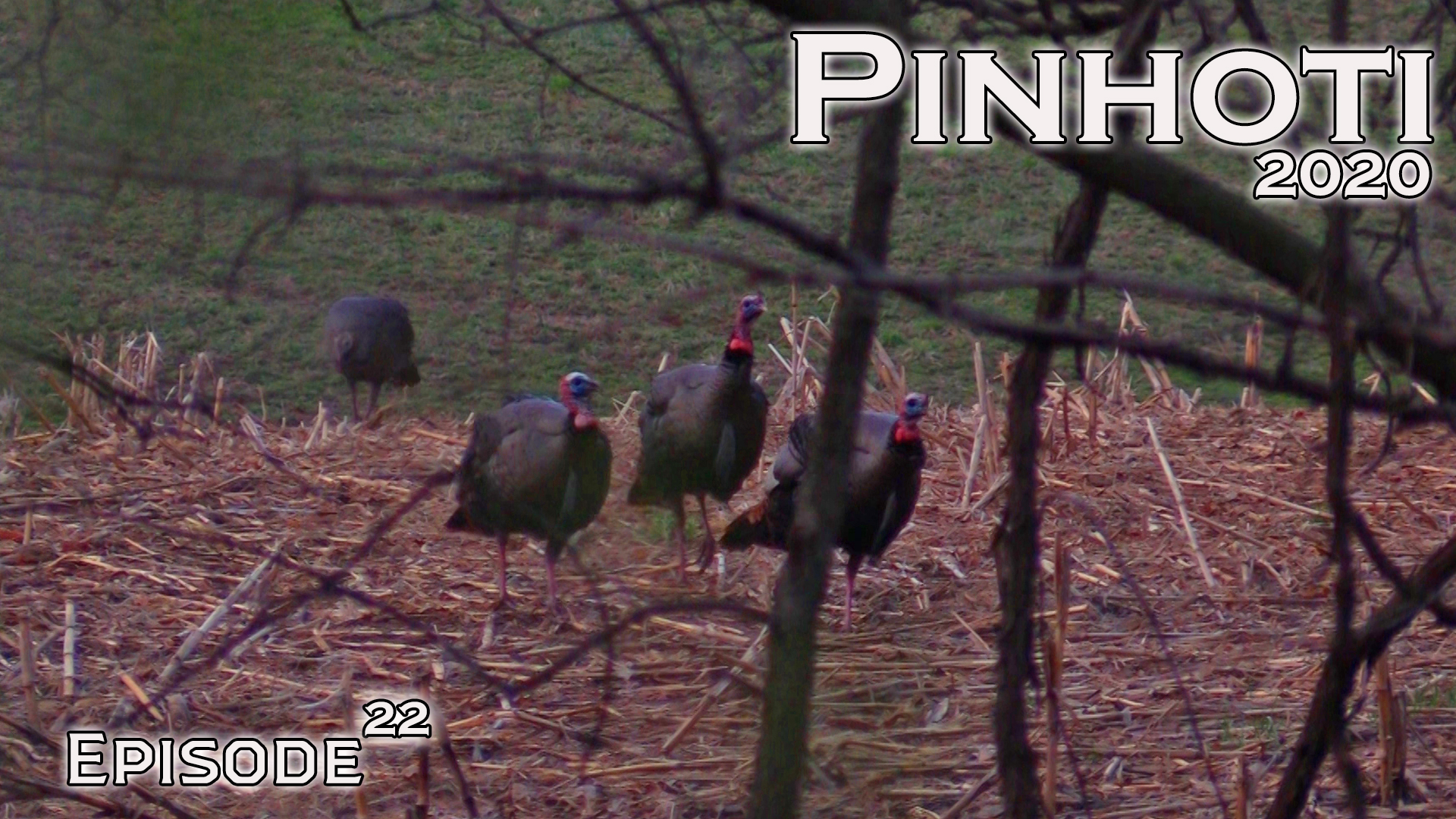 Pinhoti 2020 Ep 22 • Pinhoti Project